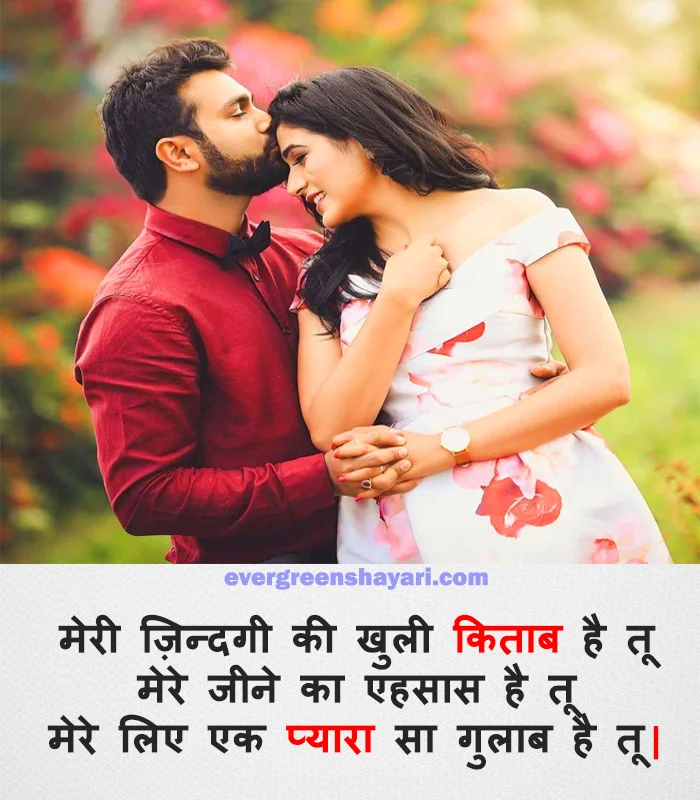 99+ Top Level - Love Shayari in Hindi with Emoji | प्यार शायरी हिंदी में| 17 Romantic Evergreen Shayari