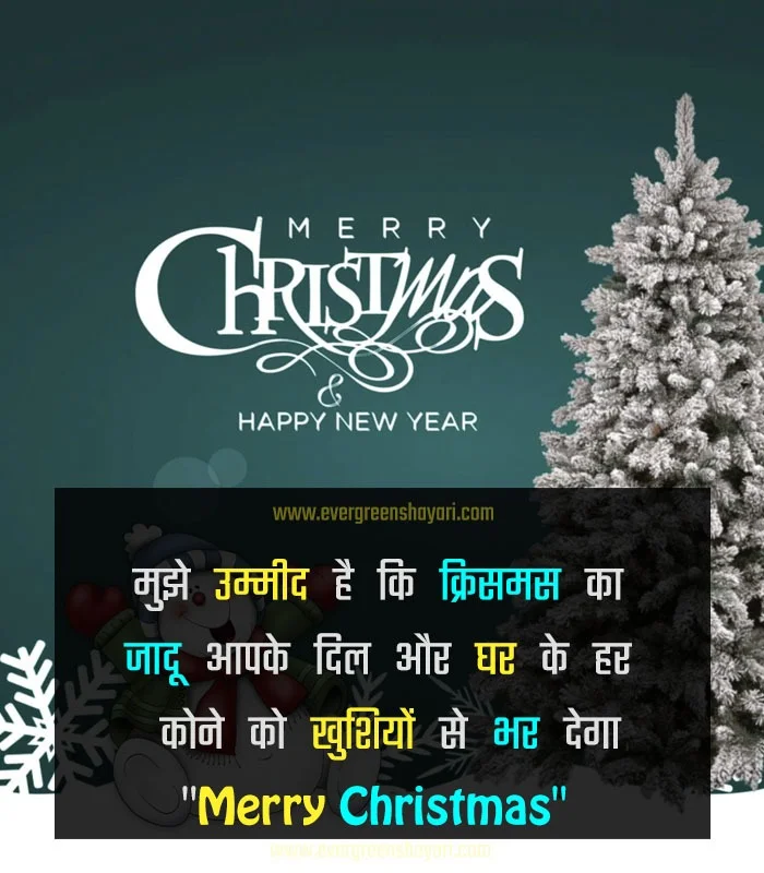 Merry Christmas Wishes 2023 - Christmas Wishes in Hindi 13 Latest Christmas Wishes 2022