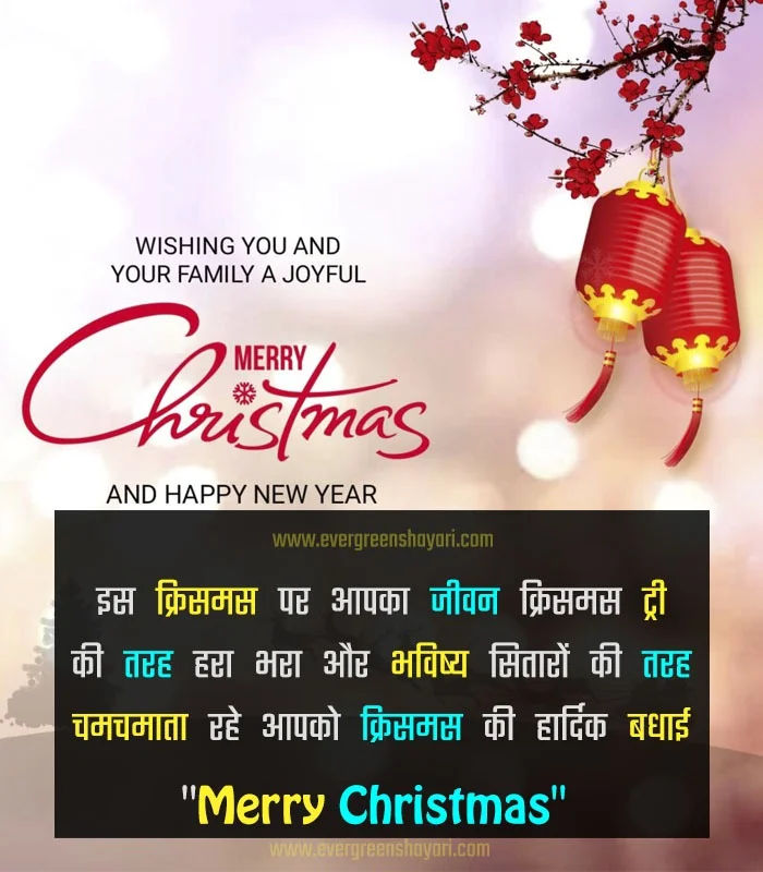 Merry Christmas Wishes 2023 - Christmas Wishes in Hindi 9 Christmas Wishes