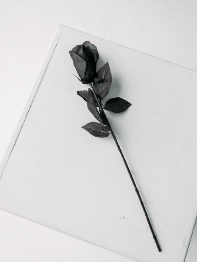 Bewafa Shayari in Hindi - Sad Shayari Hindi