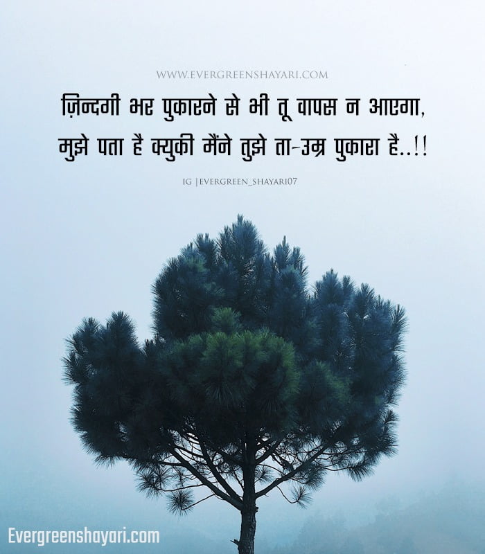 Best Sad Quotes in Hindi | 2 Line Sad Shayari in Short Images 75 Sad Quotes in Hindi Shayari