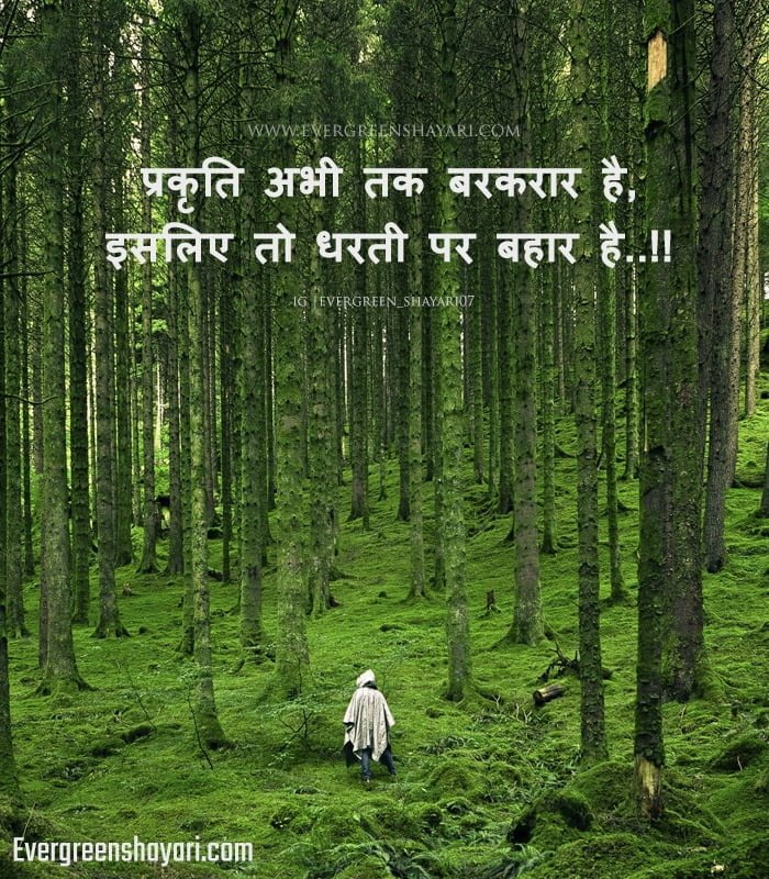 top-best-nature-shayari-in-hindi-nature-love-quotes-best-evergreen