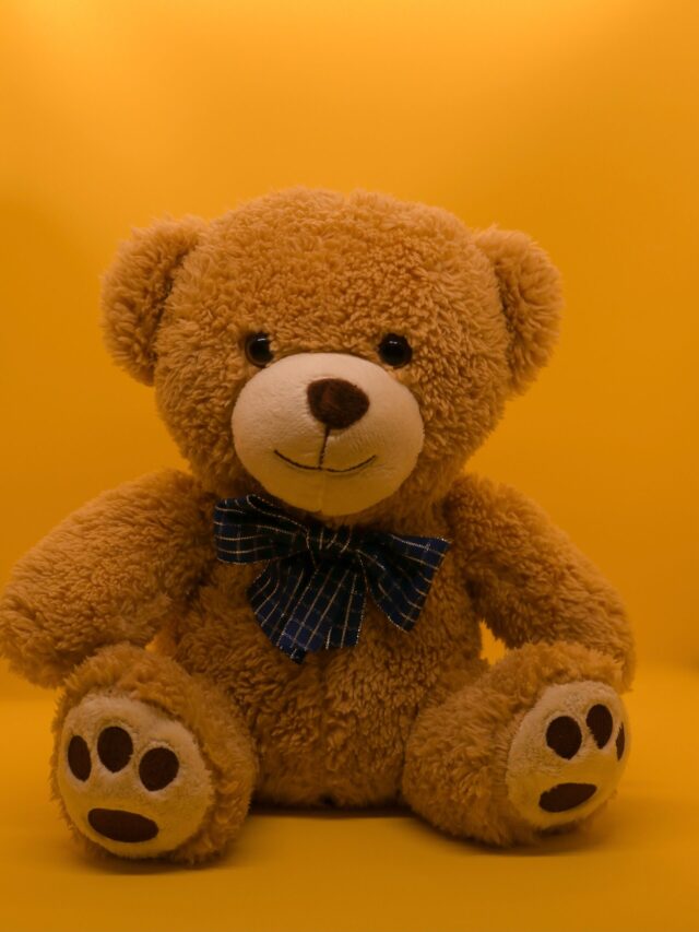 Happy Teddy Day 10 Feb 2023