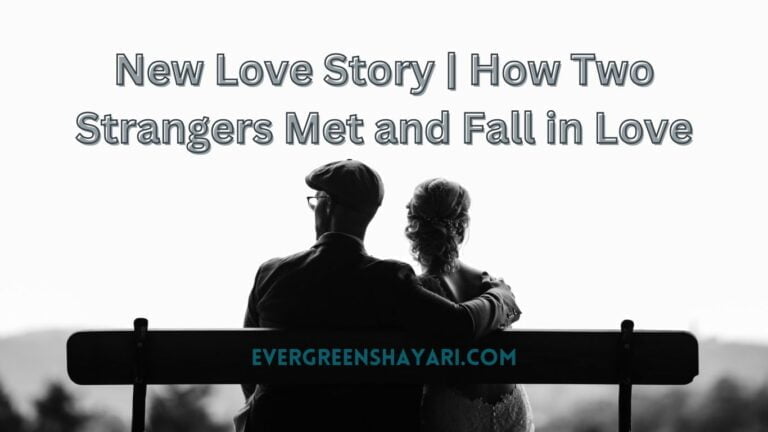 New Love Story | How Two Strangers Met and Fall in Love