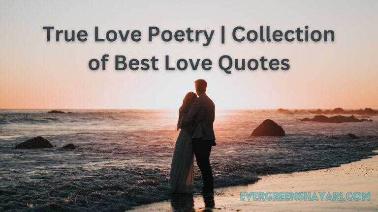 True Love Poetry | Collection of Best Love Quotes