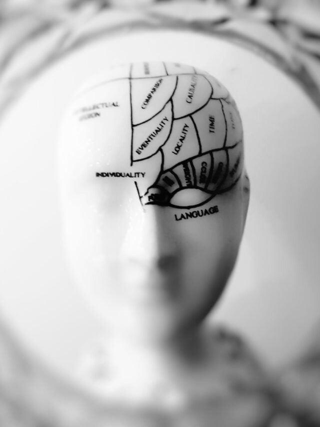 Some Important Things About The Human Mind.