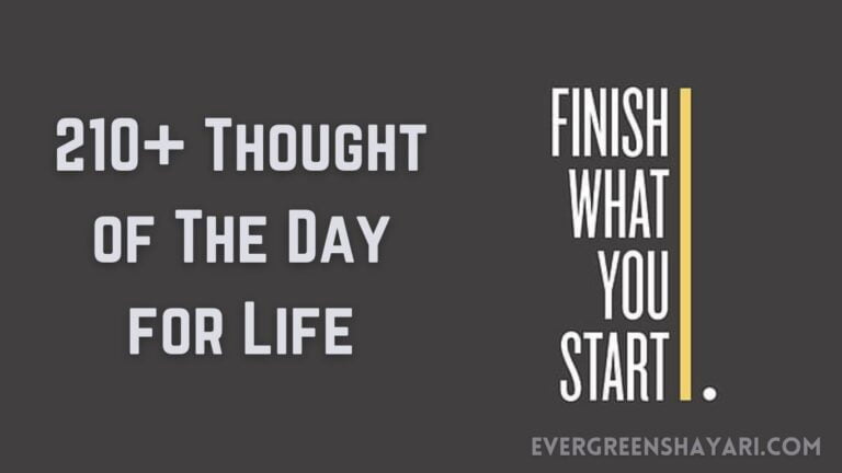 210+ Thought of The Day for Life