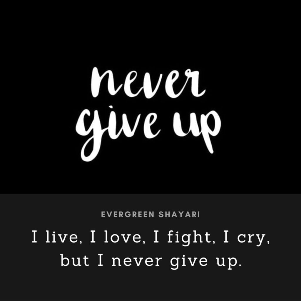 50+ Best New Attitude Quotes to Change Your World 10 Positive Attitude Quotes