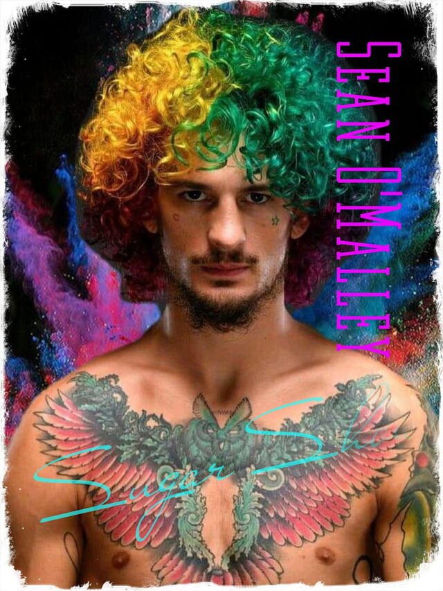 Mixed Martial Artist Sean O’Malley (fighter) Quotes