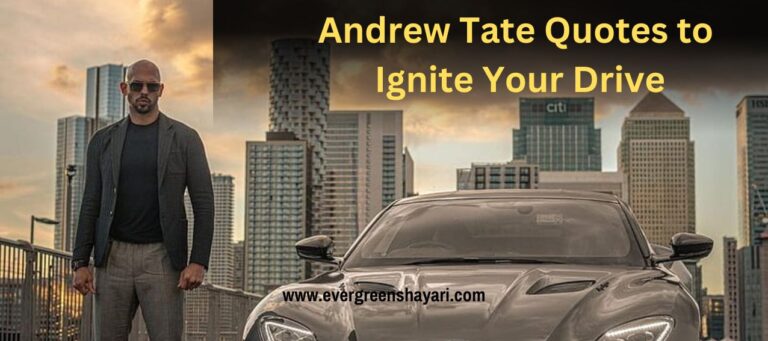 Andrew Tate Quotes