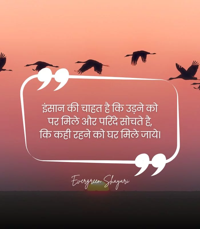 70+ Best Hindi Shayari on Life | ज़िन्दगी स्टेटस 12 Hindi Shayari on Life 12