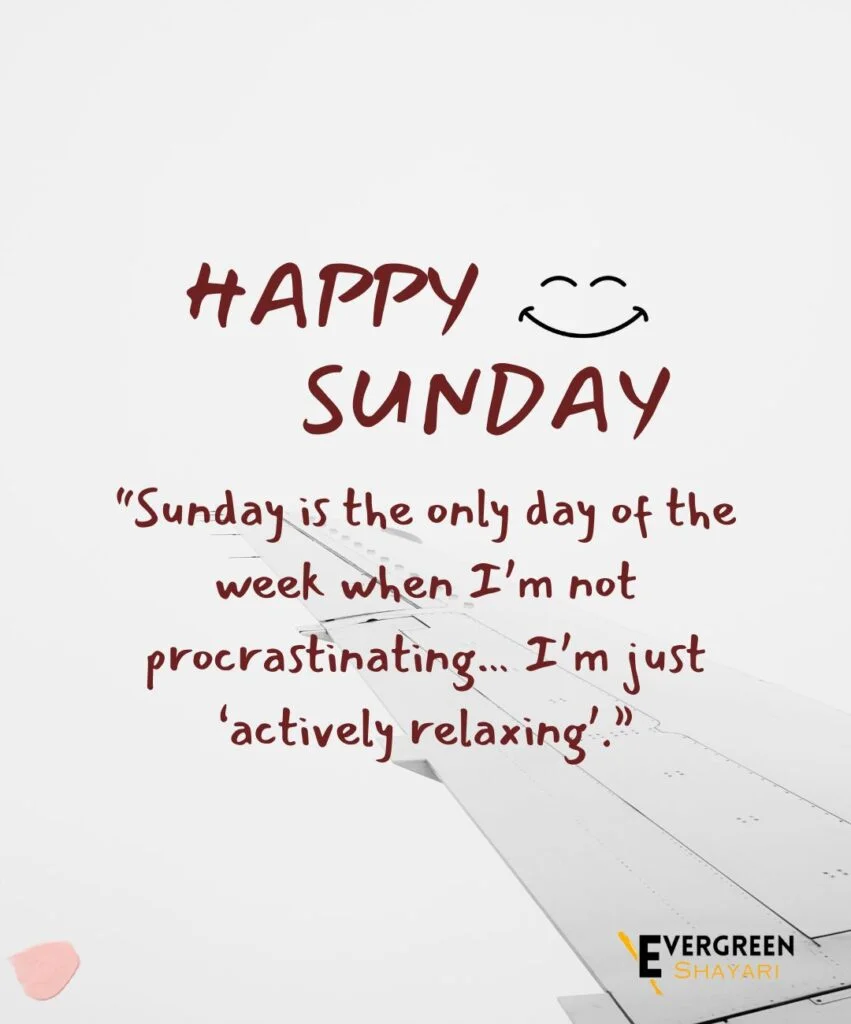 40 Wonderful Sunday Quotes and Images 18 10 Sunday Funny Quotes Images 2