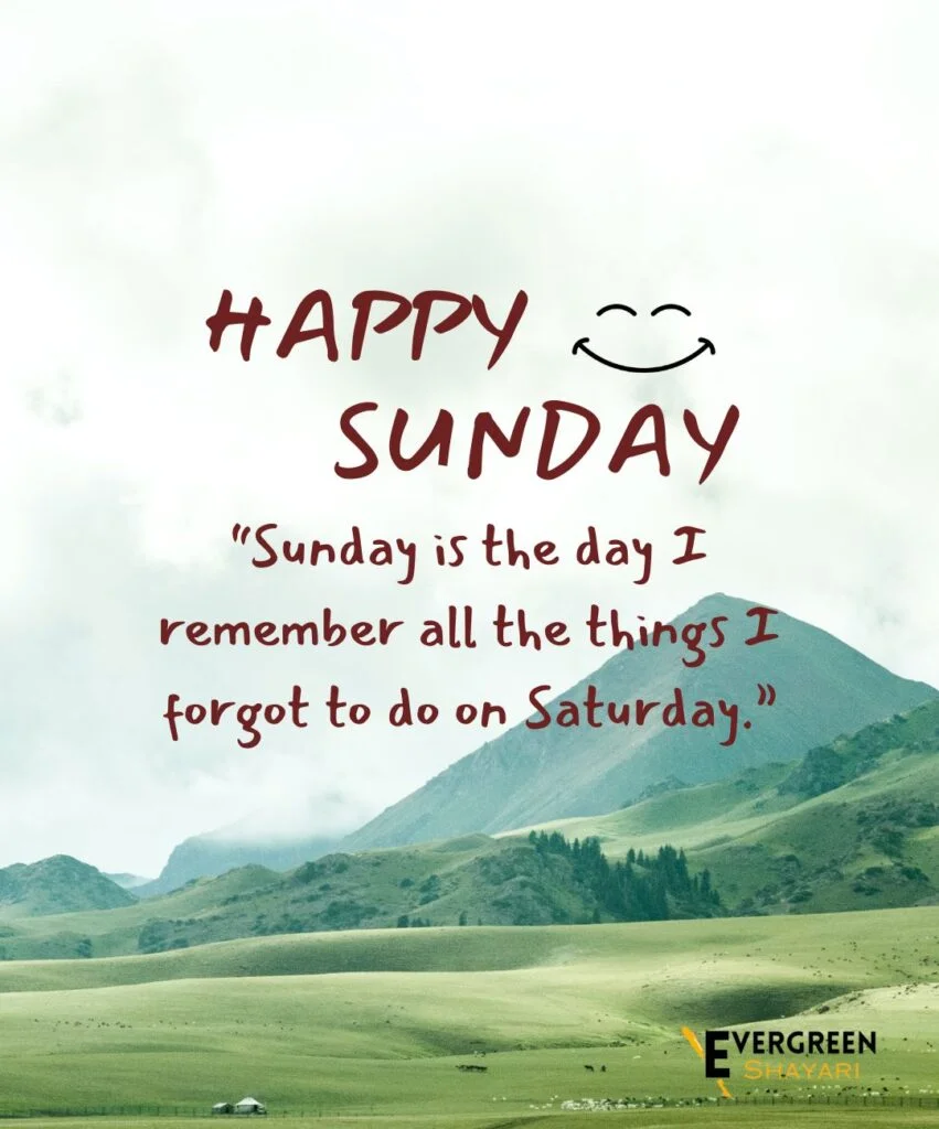 40 Wonderful Sunday Quotes and Images 15 10 Sunday Funny Quotes Images 4