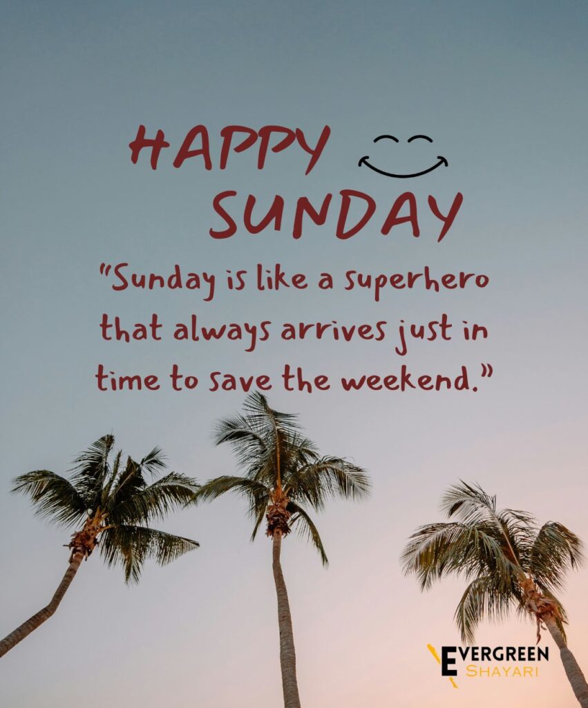 40 Wonderful Sunday Quotes and Images 14 10 Sunday Funny Quotes Images 5