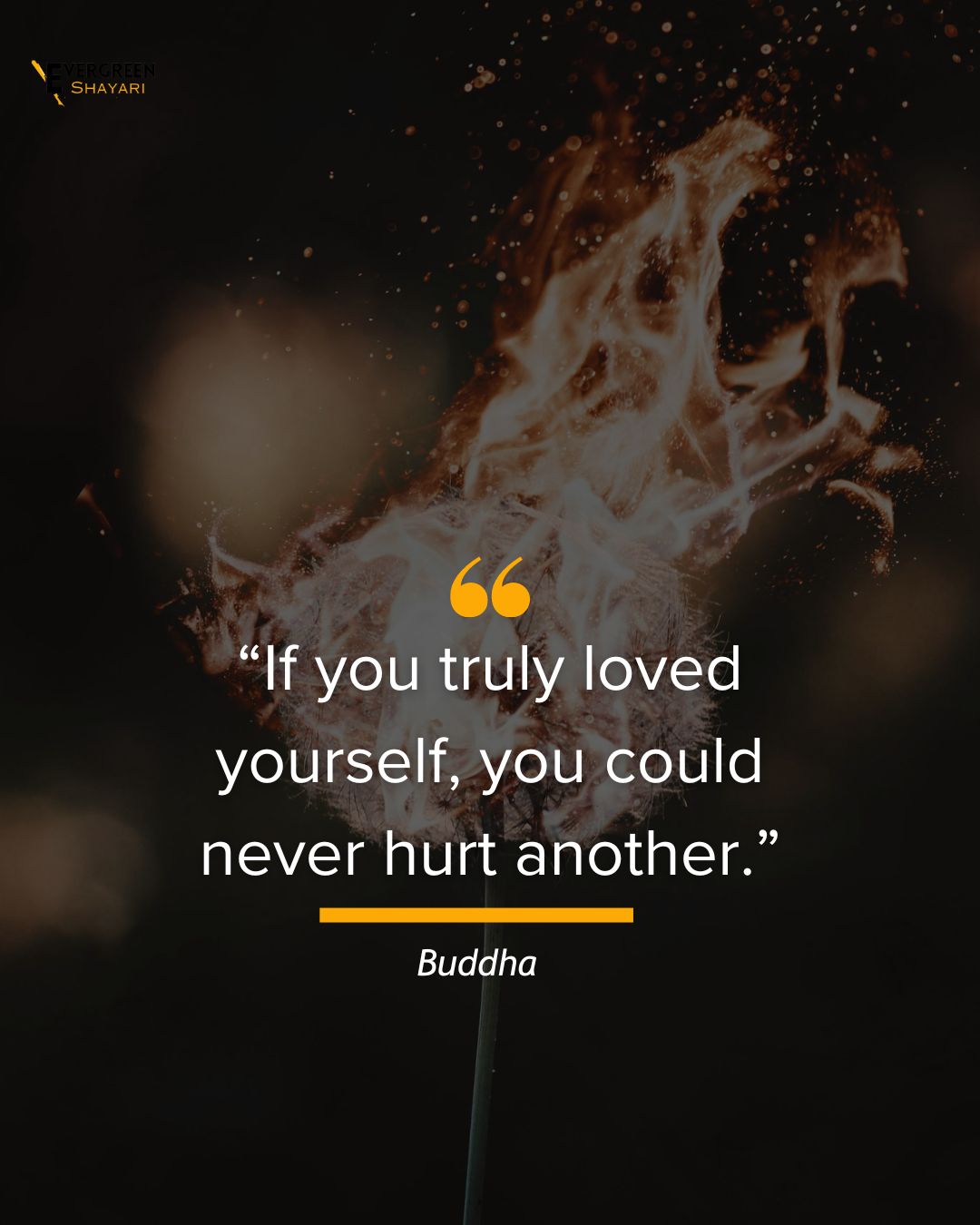 20 Inspirational Buddha Quotes About Life and Love - Evergreen Shayari ...