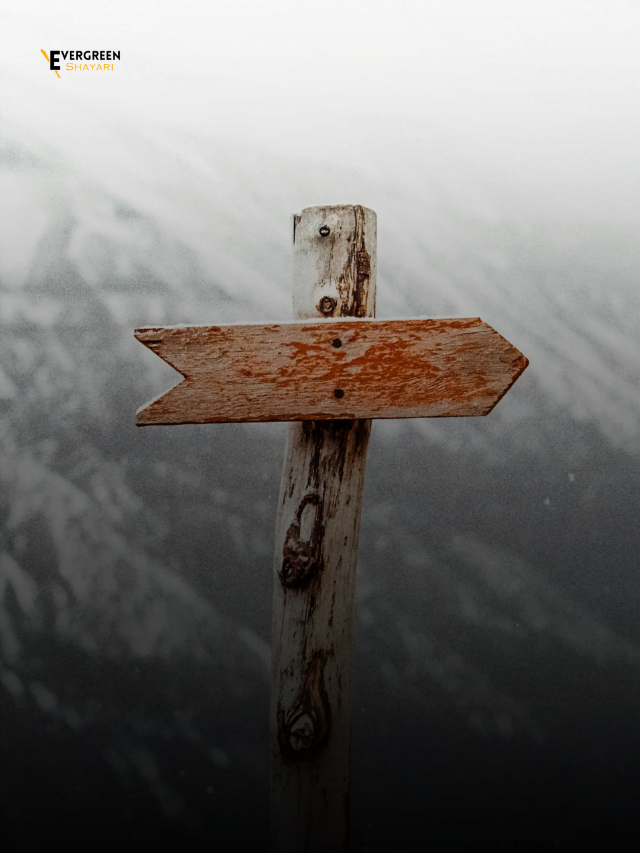 10 Positive Quotes About Right Direction