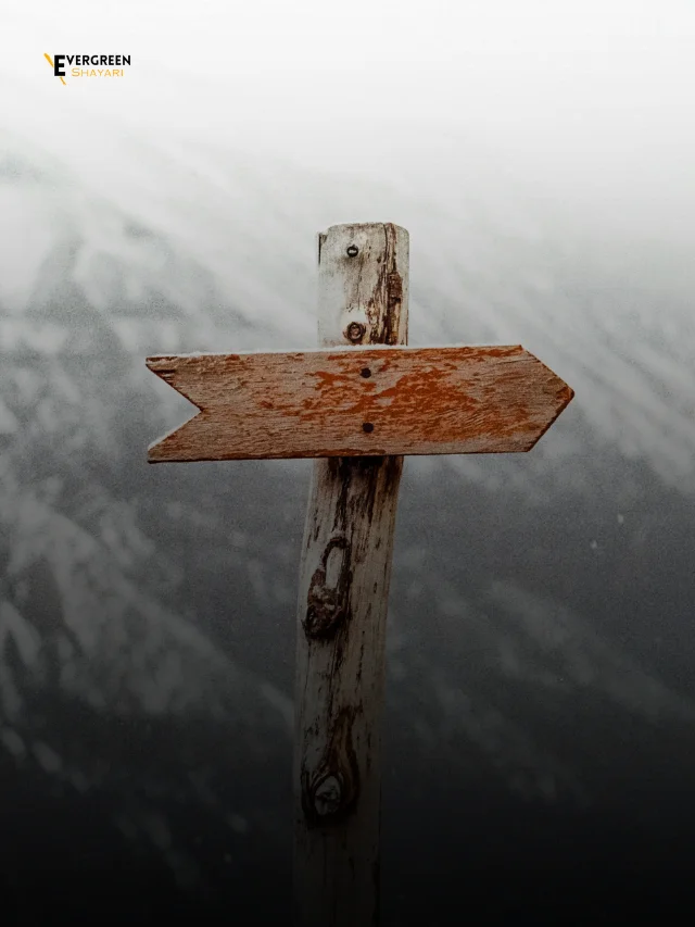 10 Positive Quotes About Right Direction
