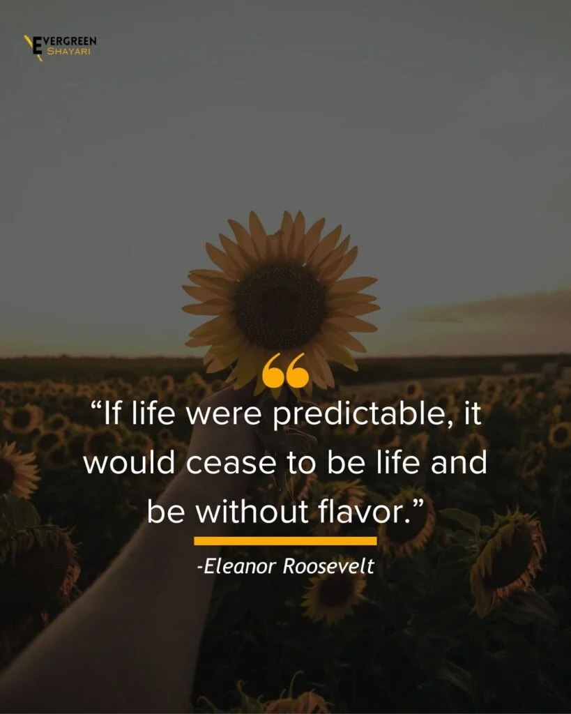 20+ Wise Man Quotes About Success in Life 16 Wise Man Quotes About Success