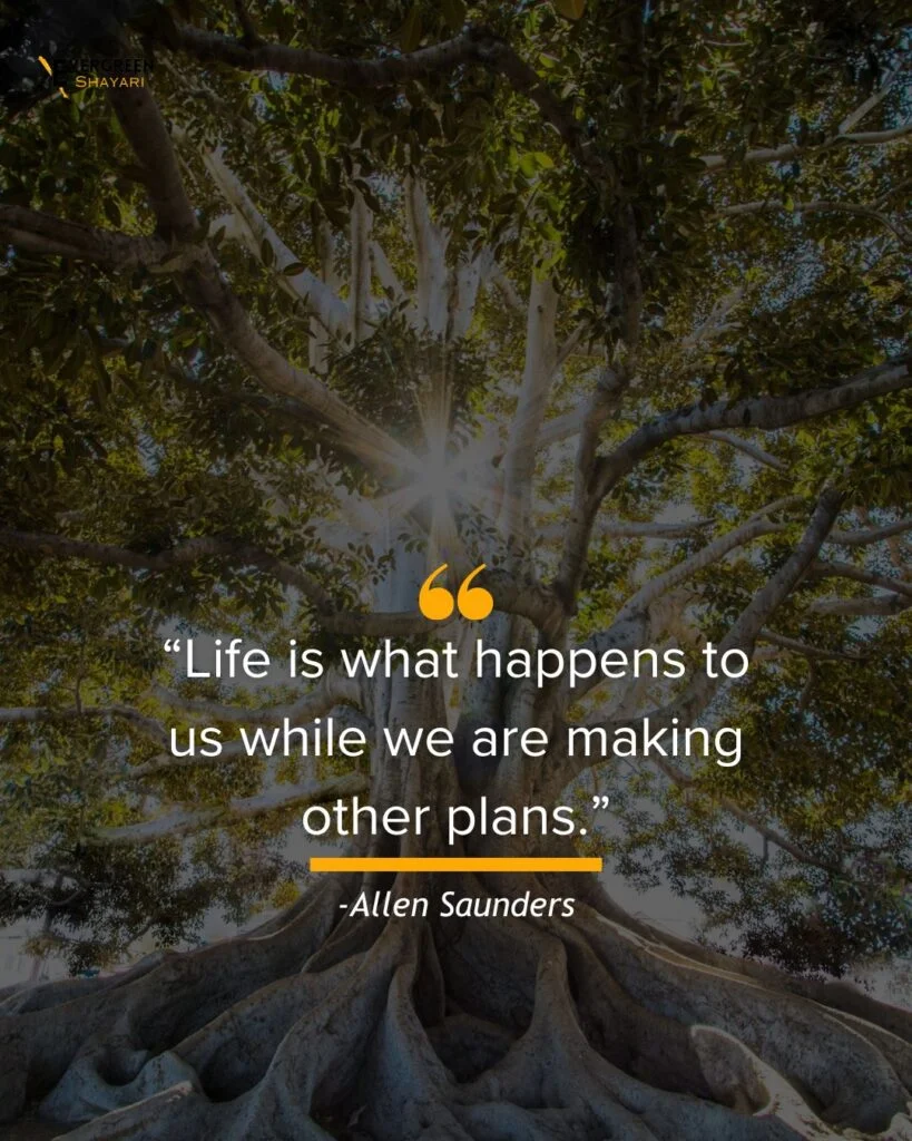 20+ Wise Man Quotes About Success in Life 8 Wise Man Quotes About Success